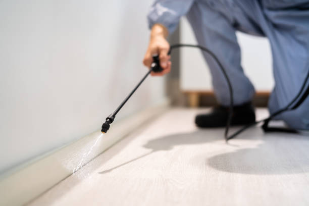 Certified termite inspector examining foundation in Beachwood